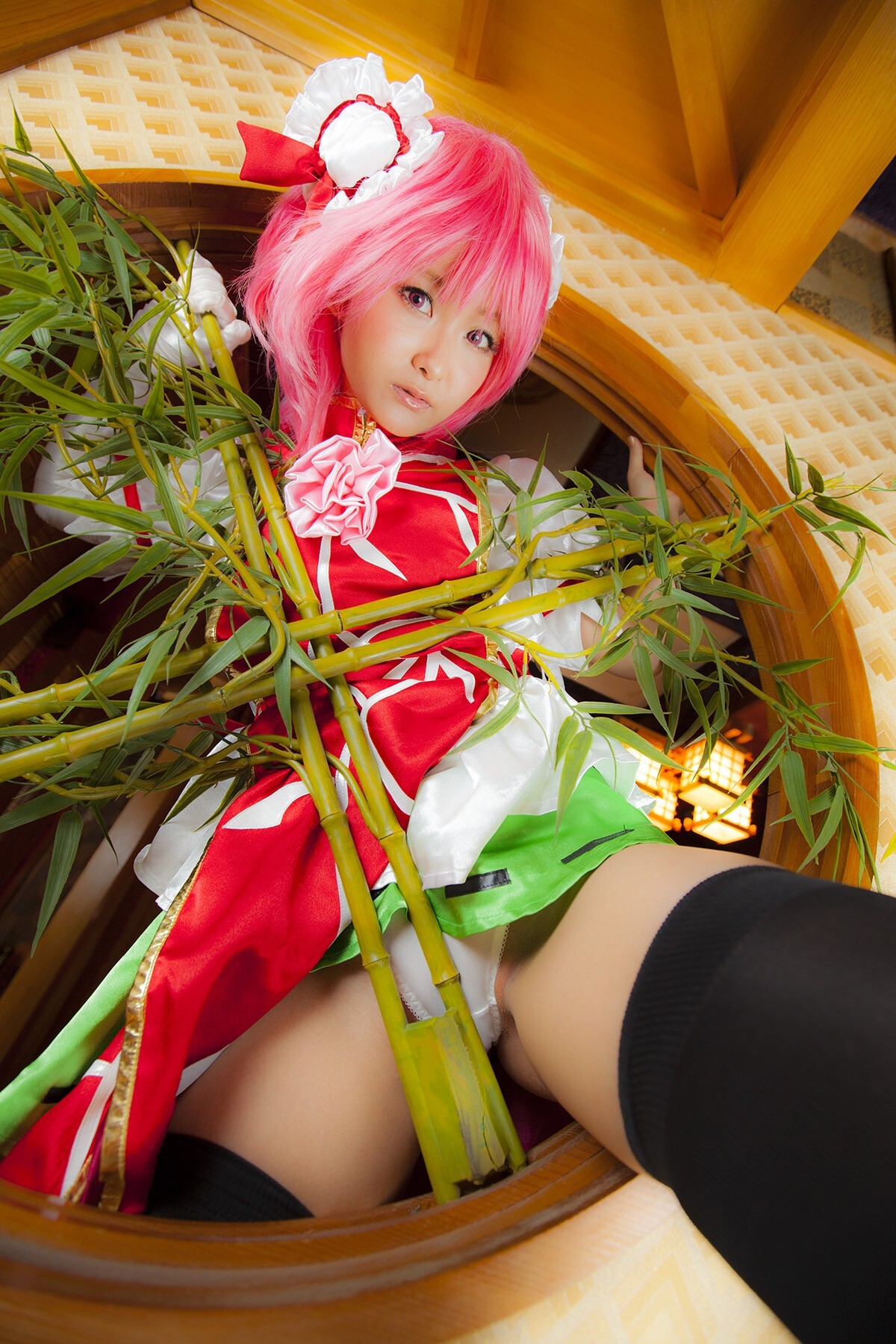 [Cosplay] New Touhou Project Cosplay set - Awesome Kasen Ibara